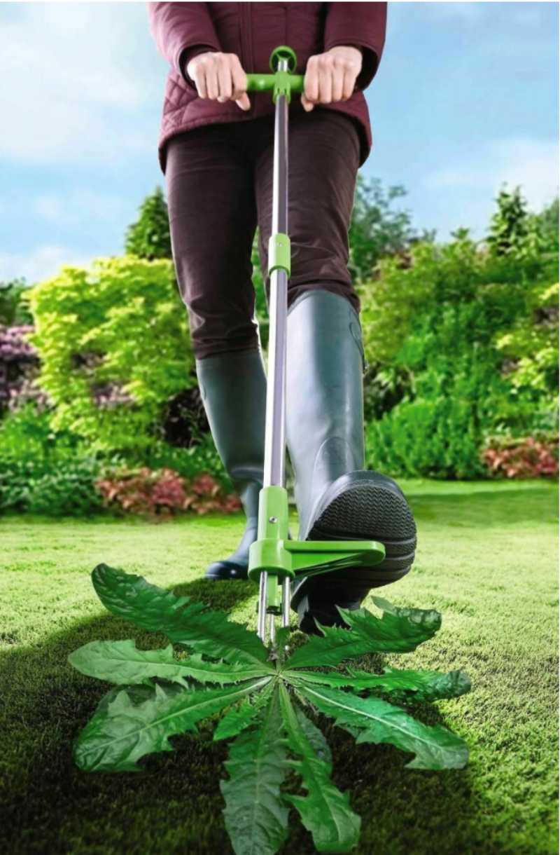 Unkrautstecher – Garten-Graswurzelentferner