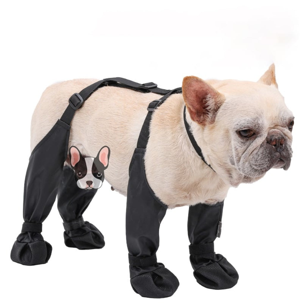 Durable Dog Boots for All Weather Protection – water-resistant Dog Shoes for Snow, Hiking, and Walking-3
