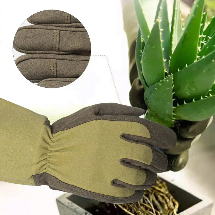 Dornenfeste Handschuhe für Garten & Rosen