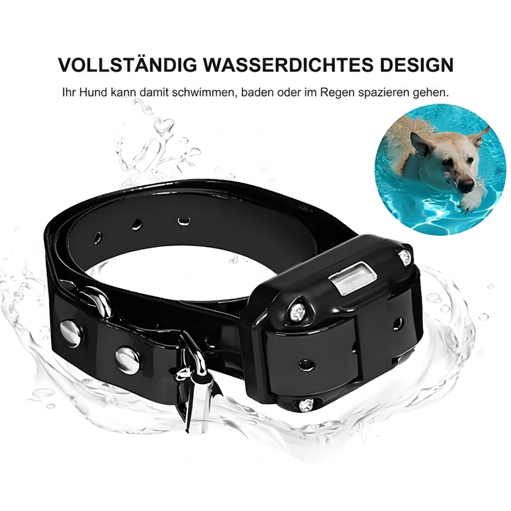 Ferngesteuertes Hunde-Trainingshalsband