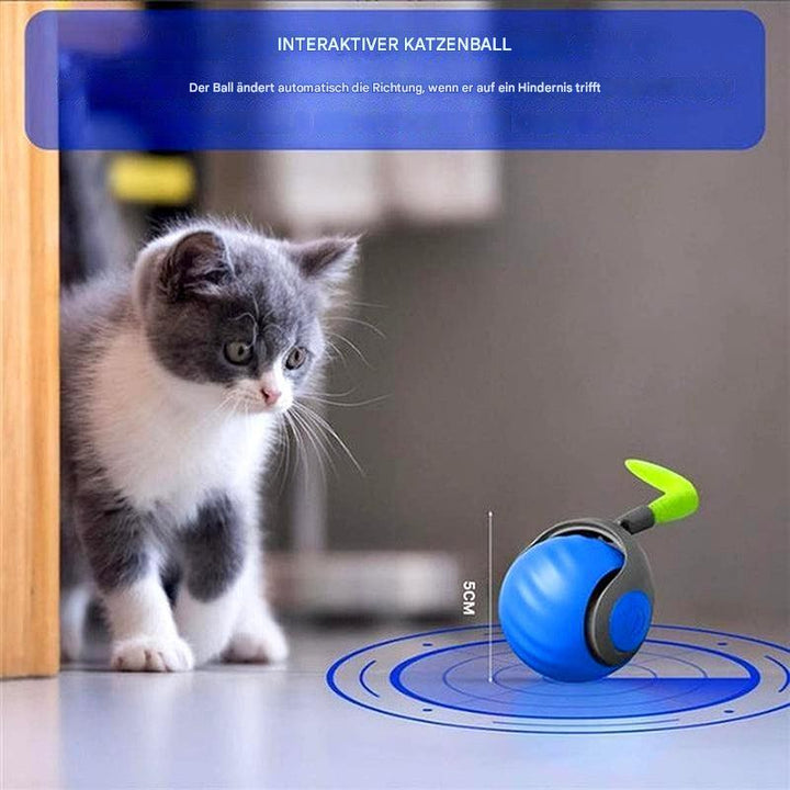 Interaktives Katzenspielzeug