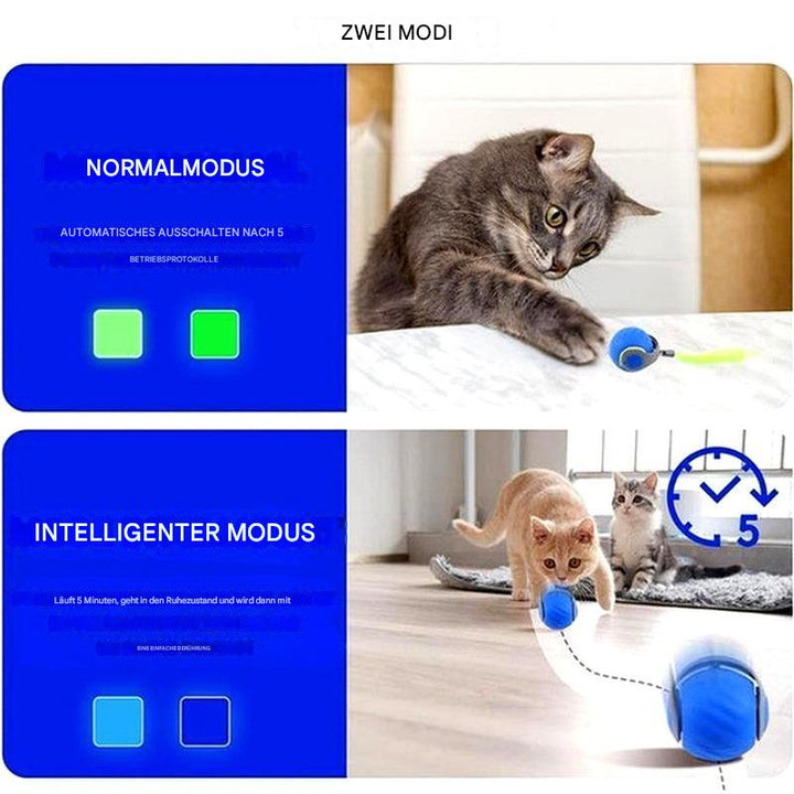 Interaktives Katzenspielzeug